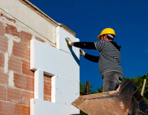 Best Wall Insulation Contractor  in Fish Hawk, FL