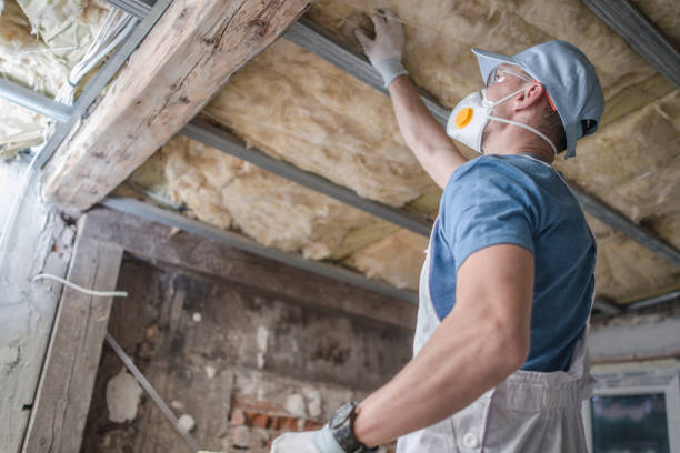 Best Insulation for Commercial Buildings  in Fish Hawk, FL
