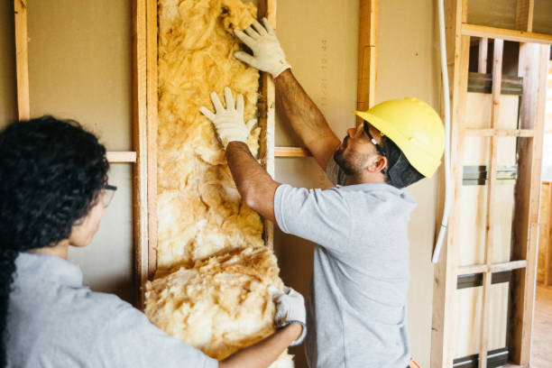 Best Local Insulation Services  in Fish Hawk, FL