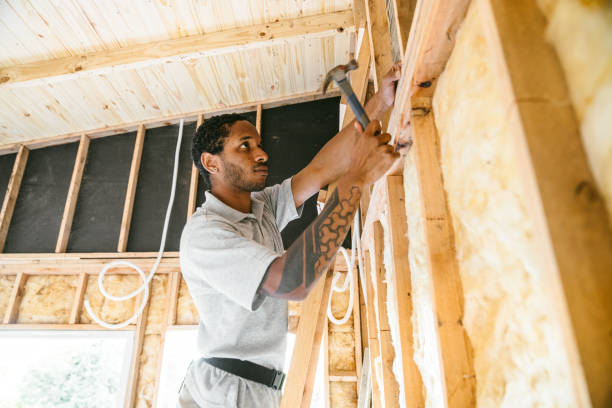 Best Insulation Repair Services  in Fish Hawk, FL