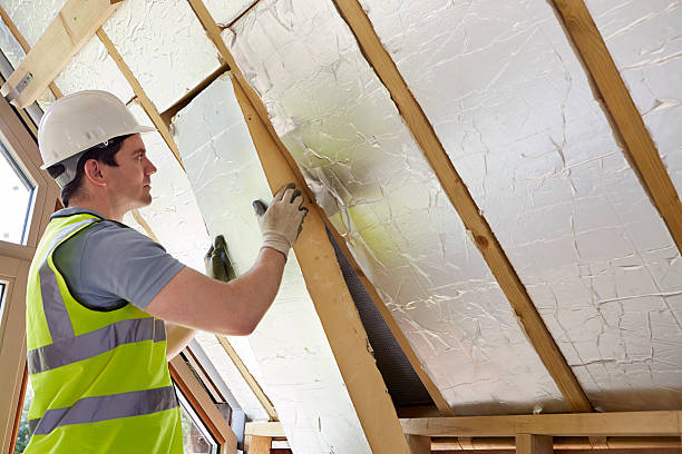 Best Insulation for New Construction  in Fish Hawk, FL