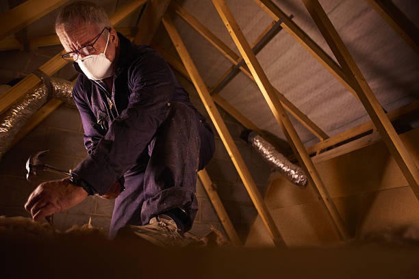 Best Insulation Inspection Services  in Fish Hawk, FL