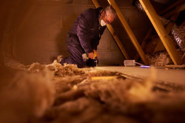 Best Insulation Repair Services  in Fish Hawk, FL